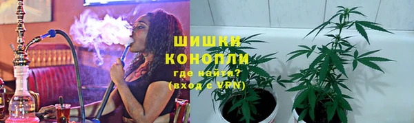индика Бугульма