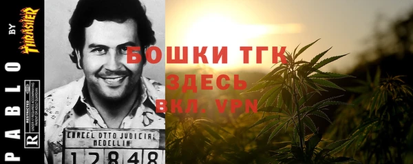 индика Бугульма