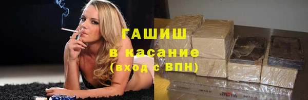 индика Бугульма