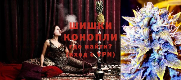 индика Бугульма