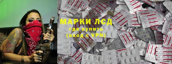 индика Бугульма