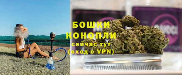 индика Бугульма