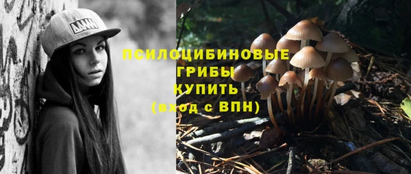 индика Бугульма
