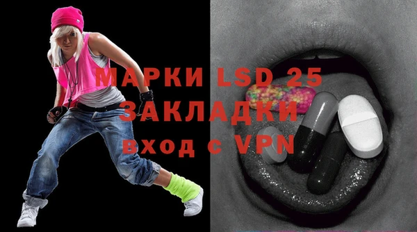 индика Бугульма